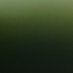 Meet your Posher, Conni